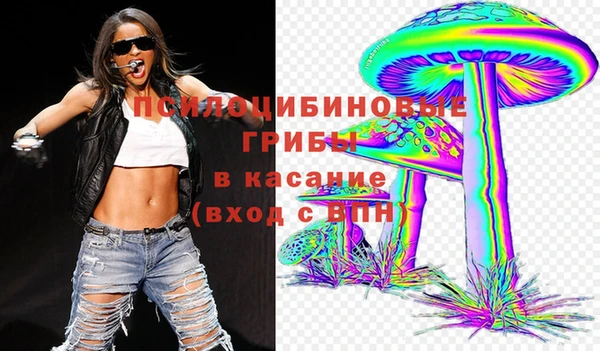 молекула духа Бородино