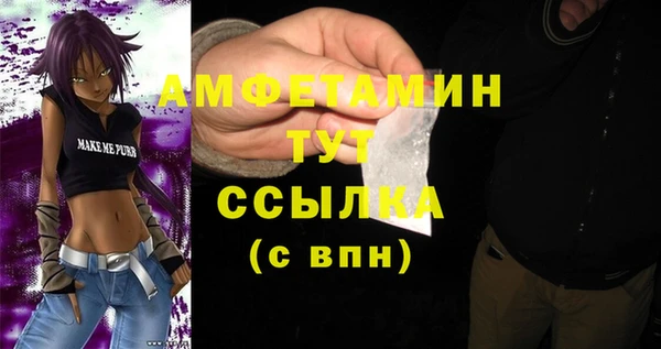 ECSTASY Богородицк