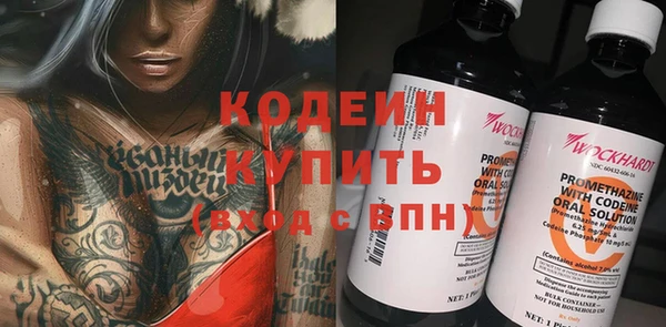 молекула духа Бородино