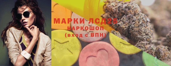 эйфоретик Богданович