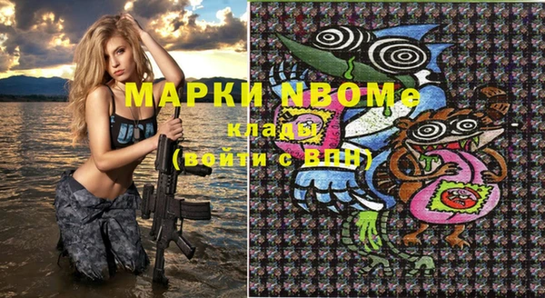 молекула духа Бородино